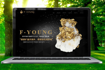 �ٷڸ������ﱦʯ